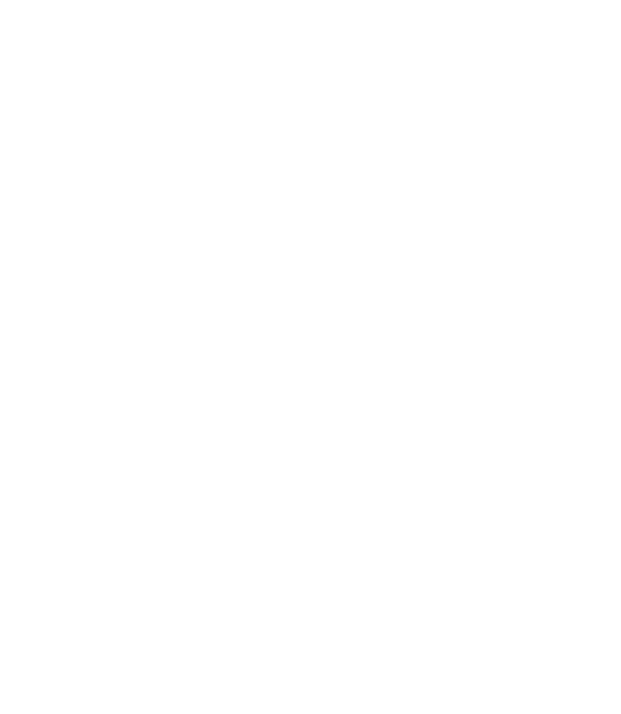 logo-bordero-iso-w